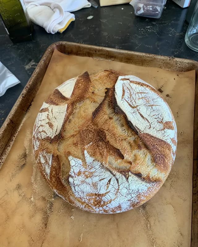 An example phone photo of a sourdough loaf